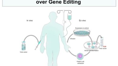 Viral Vector Technology and its Monopoly over Gene Editing