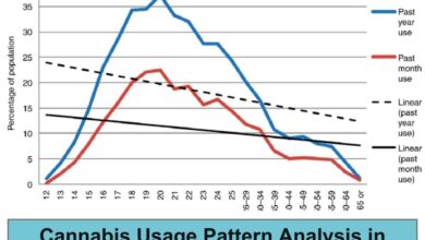 Cannabis Usage Pattern Analysis