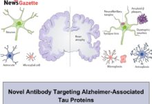 Novel Antibody Targeting Alzheimer-Associated Tau Proteins