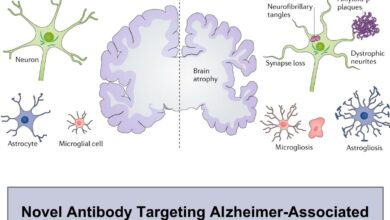 Novel Antibody Targeting Alzheimer-Associated Tau Proteins