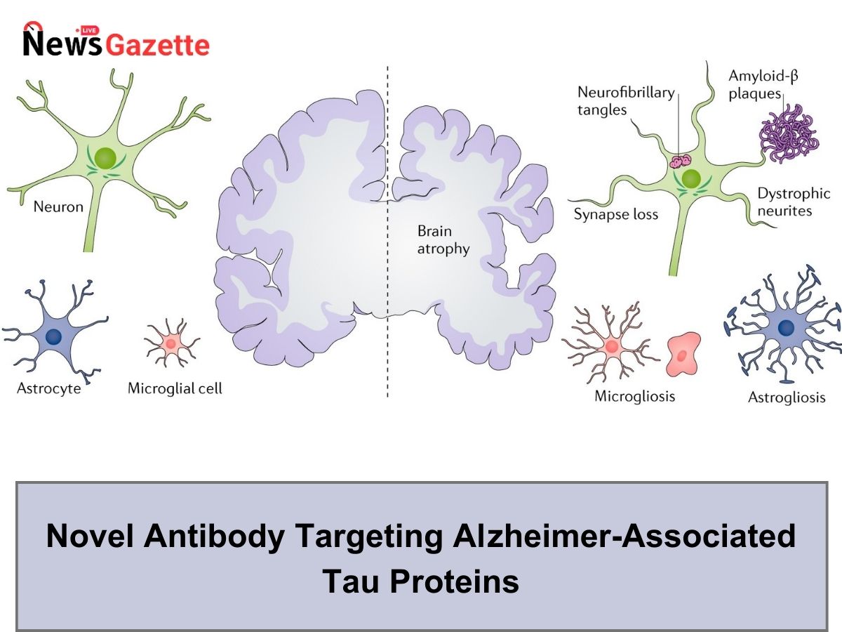 Novel Antibody Targeting Alzheimer-Associated Tau Proteins